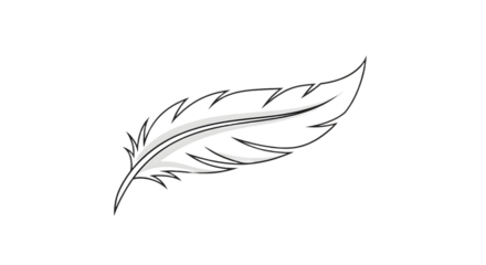 Illustration of a single feather with detailed barbs and a central quill on a white background