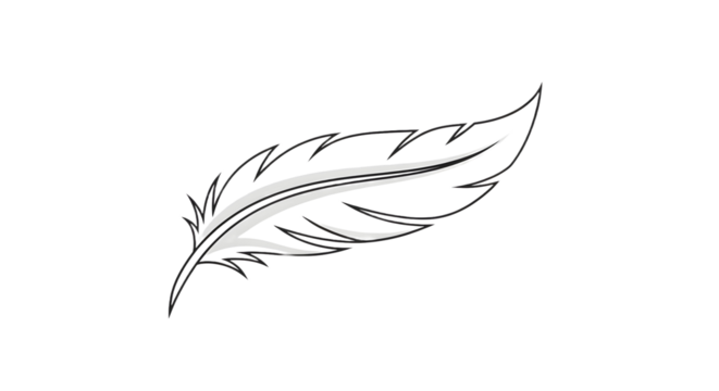 Illustration of a single feather with detailed barbs and a central quill on a white background