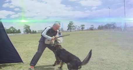 Trainer presenting bite sleeve, dog lunging and gripping, trainer turning stance for security