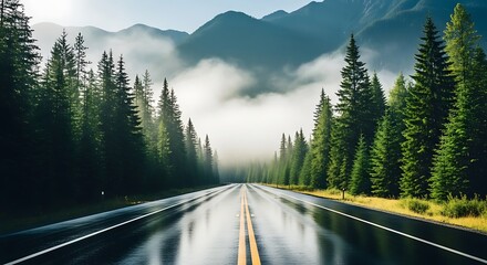 Scenic mountain road through foggy evergreen forest