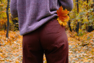 Autumn image, rear view, a man in a voluminous lilac sweater and brown trousers holds an orange maple leaf in a park or forest with yellow foliage.
