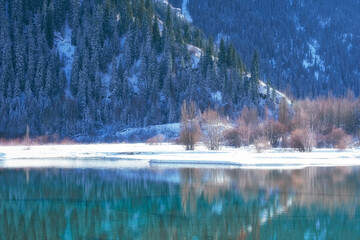 Winter landscape of Issyk mountain lake in Kazakhstan. Turquoise waters reflect the snow-capped fir trees and the slopes of the Trans-Ili Alatau mountains