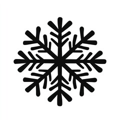Obraz premium Snow flake icon shape snowflake black white.
