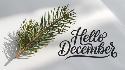 Hello December calligraphy with pine branch and shadow on white surface