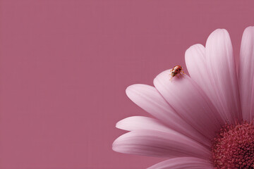 ai enhances photos and videos creating stunning visuals that evoke admiration