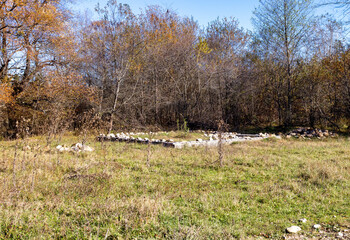 Autumn in the countryside, the morning sun warming the ground that had cooled during the night