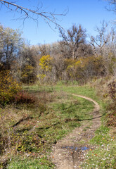 Autumn in the countryside, the morning sun warming the ground that had cooled during the night