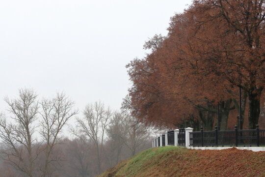 Linden trees on the Ryazan Kremlin embankment in autumn