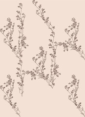 Vintage pattern with brown wildflowers, for the production of fabrics, wallpaper, packaging
