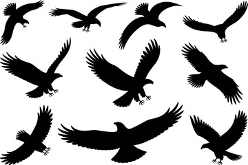 Soaring eagle silhouettes vector set, flying raptors in flight, predatory birds, wings spread, isolated black shapes, wildlife illustration, minimalist design.