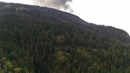 Aerial view of Fairy Forest in Pulga, Parvati Valley, Himachal Pradesh on an autumn evening, showing dense pine and deodar trees with rocky mountain peaks in the background and clouds drifting over 