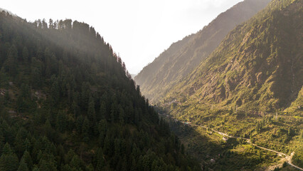 Two forested mountains in Parvati Valley, Himachal Pradesh, covered with pine and deodar trees, captured in autumn as soft sunlight filters through light mist drifting between the slopes.