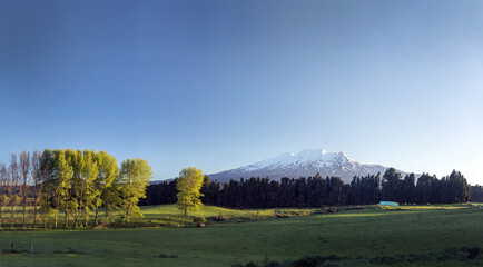 View of snow-capped mountain majesty meets lush green fields and vibrant trees under a tranquil blue sky landscape, Ohakune, Manawatu-Whanganui Region, New Zealand.