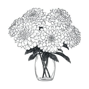 Elegant floral arrangement with vibrant zinnia flowers in a vase.Vector hand draw