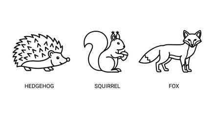 Simple line drawings depict a hedgehog squirrel and fox with labels © ShapeCraft