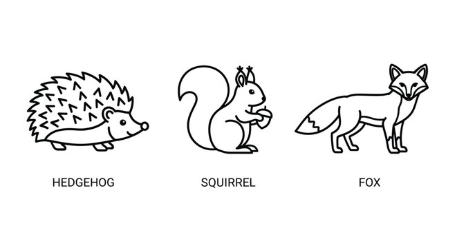 Simple line drawings depict a hedgehog squirrel and fox with labels