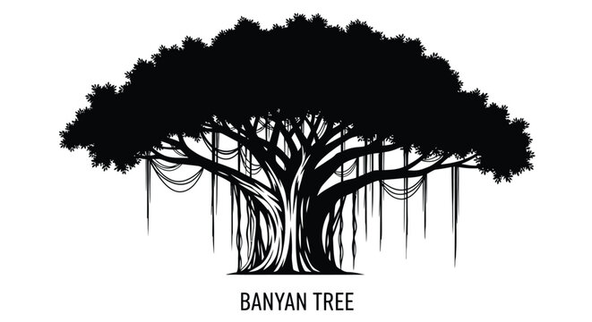 A striking black and white illustration of a large banyan tree with aerial roots