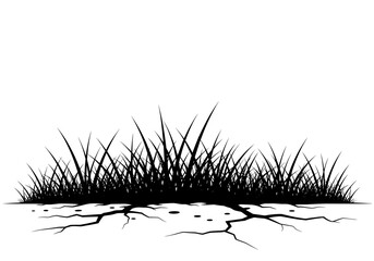 Grass growing through concrete on transparent background