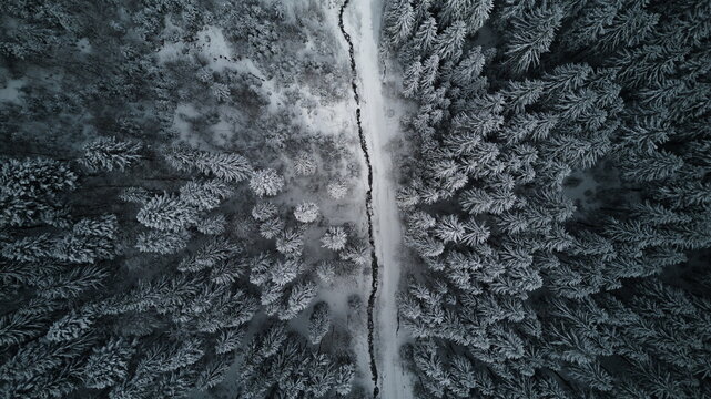 Aerial view of a crisp, snow-laden path cutting through a dense forest of frosted trees, a winter wonderland from above, Azuga, Prahova, Romania. - Powered by Adobe