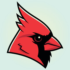 Northern cardinal bird design for cards and invitations
