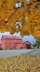 autumn in the village