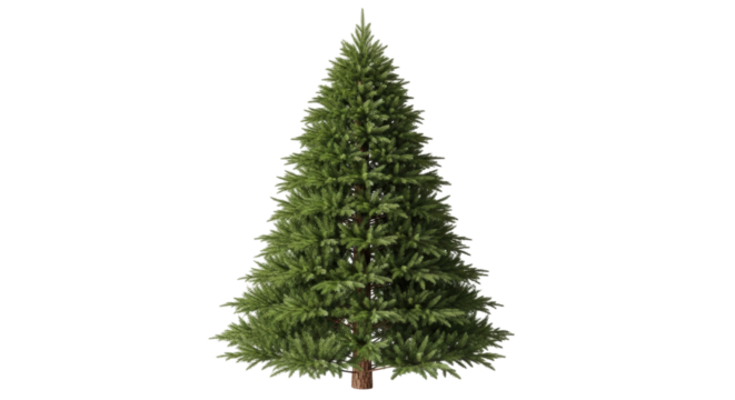 Isolated Christmas tree image on a plain backdrop perfect for holiday season designs & concepts