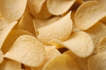Homemade Flavored Paprika Potato Chips in a Bowl, top view. Flat lay