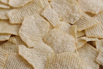 Homemade Flavored Paprika Potato Chips in a Bowl, top view. Flat lay