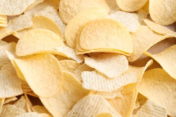 Homemade Flavored Paprika Potato Chips in a Bowl, top view. Flat lay
