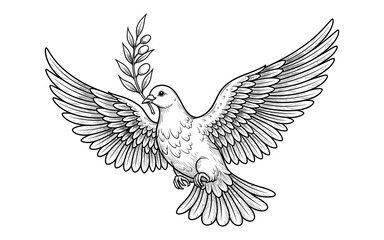 Obraz premium Hand drawn dove with olive branch symbolizing peace in linear style