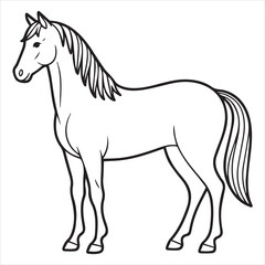 horse vector illustration line art
