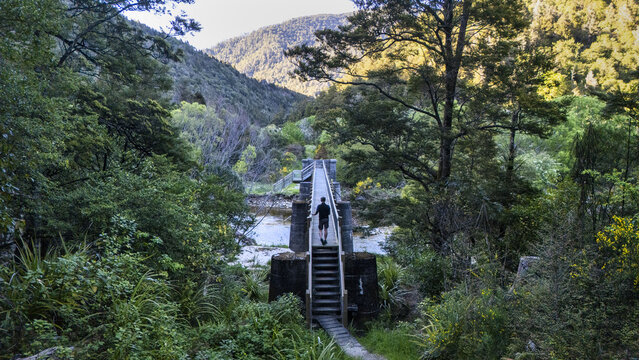 View of a lone silhouette crossing the bridge amidst a vibrant tapestry of green foliage and distant mountains, Kawatiri, Nelson, New Zealand.