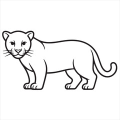 vector illustration of cartoon tiger