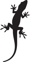 Fototapeta premium Detailed silhouette of a gecko lizard clinging to an invisible surface for wildlife and nature themes
