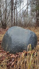 stone in the forest