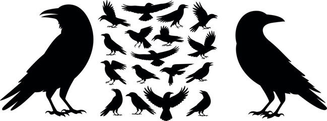 Fototapeta premium Bird silhouettes vector set, flying birds clipart, eagle crow raven icons, wildlife nature, animal silhouette collection, isolated black design elements
