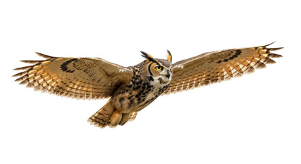 Isolated Great Horned Owl Flying, bird of prey in flight, wildlife in the air, majestic owl