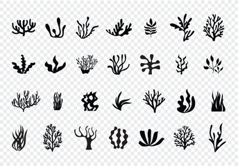 Seaweed and coral silhouette Vector Set, black vector icon. Weed plant, ocean reef fish, underwater 
Underwater Marine Plant Silhouettes and Ocean Life Illustration