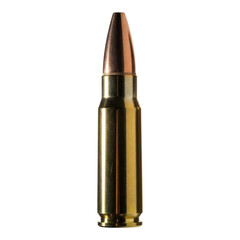 Closeup of a single rifle bullet, ammunition