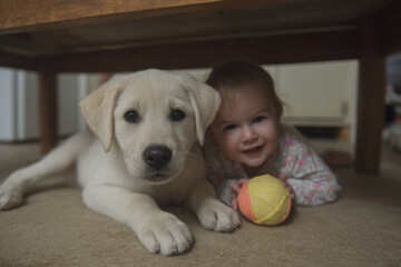 joyful baby and playful puppy are nestled together under kitchen table radiating trust and warmth