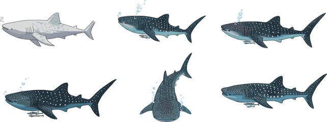 Whale shark underwater illustration, majestic ocean fish swimming with bubbles, marine wildlife drawing, realistic aquatic animal art for sea lovers