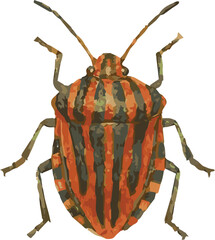 Vector watercolor illustration of a shiledbug