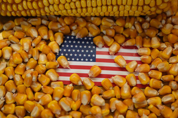 Corn kernels, corn cob, and American flag. Agriculture imports, exports, trade wars, agreements, and tariffs. Shallow depth of field.