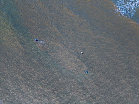 Aerial view of three surfers paddling in calm ocean gentle waves ripple in upper corner, spaced figures and water textured gradients create serene composition from above.