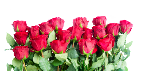 Bouquet of red roses isolated on transparent background 