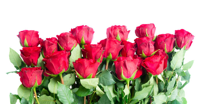 Bouquet of red roses isolated on transparent background 