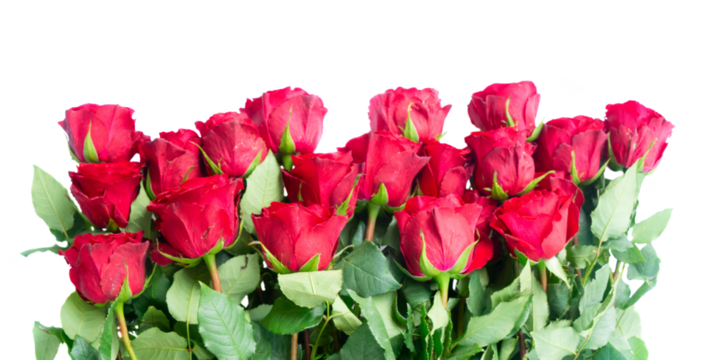 Bouquet of red roses isolated on transparent background 