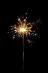 Fototapeta premium A sparkler fireworks outdoors nature.
