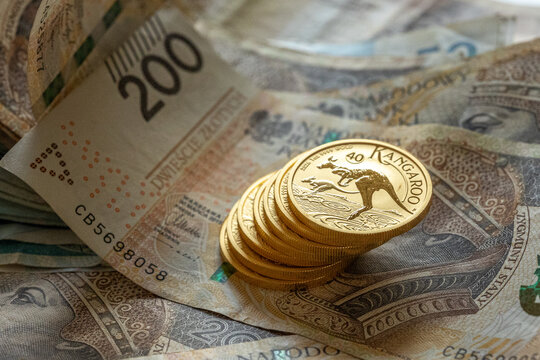 Złote monety na tle polskich banknot&oacute;w