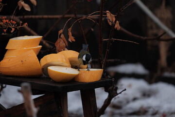 old fashioned lantern